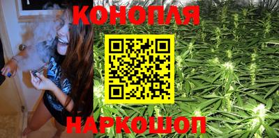 крисы Краснознаменск